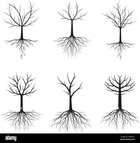 Set of Black Trees with Roots. Vector Illustration. Collection of icons ...