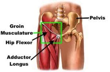 Fixing Hip Flexor Pain – Squat University