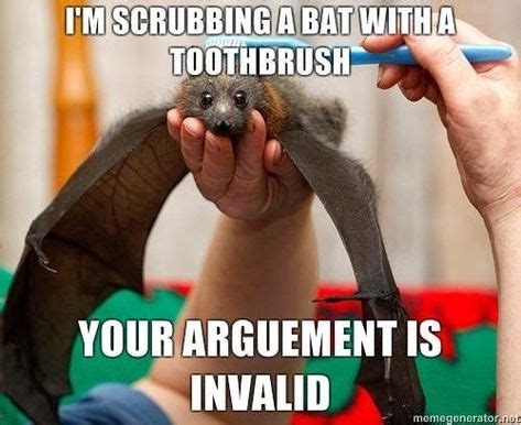 27 Seriously Cute And Funny Bat-Memes | Funny animal memes, Funny, Memes