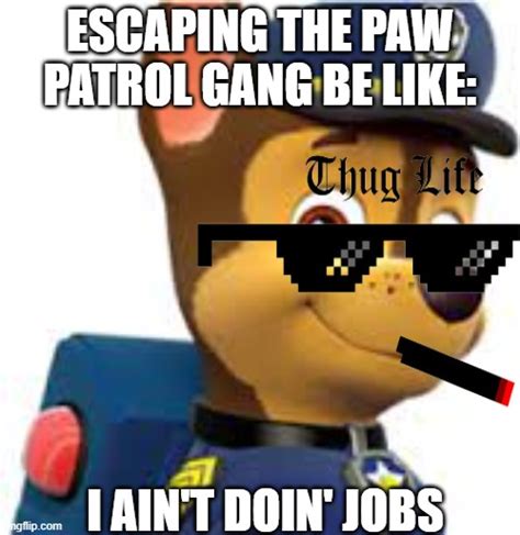 paw patrol Memes & GIFs - Imgflip