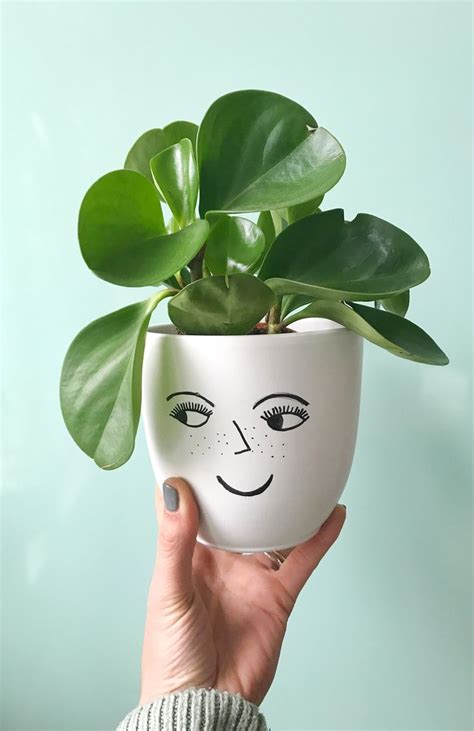 Woontrend: vrolijke plantenpotten (+ een easy plantenpot DIY) - One ...