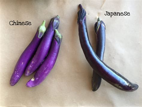 Asian Eggplant Varieties - Full Belly Farm