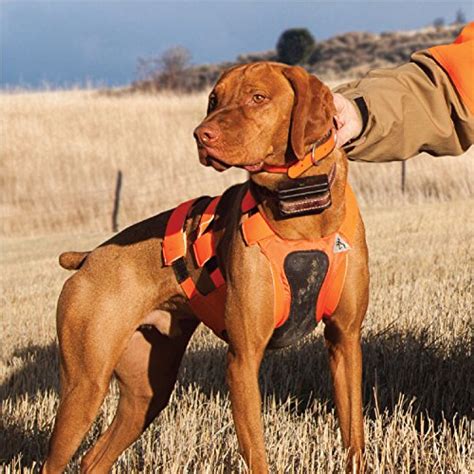 Browning Dog Protection Vest Dog Hunting Vest, Safety Orange, Medium | eBay