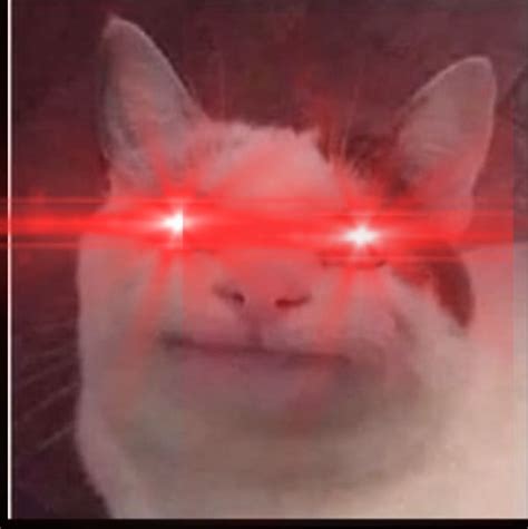 Demon Cat In 2023 Cat Memes, Cats, Demon, 56% OFF