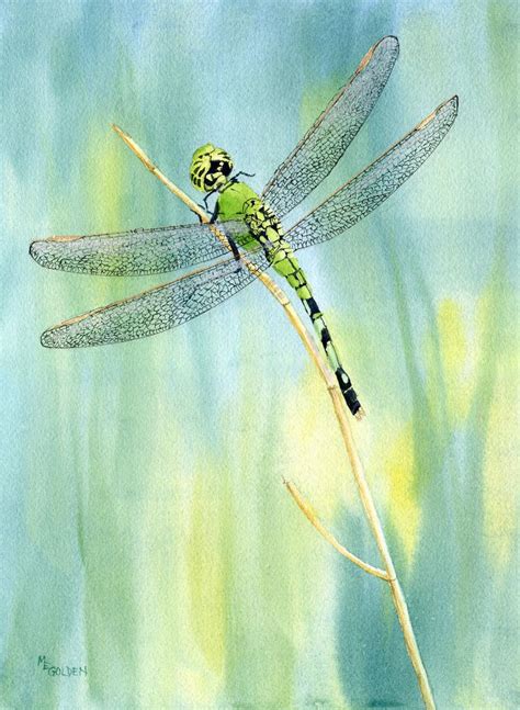 Green Dragonfly giclee print from a watercolor | Dragonfly painting ...