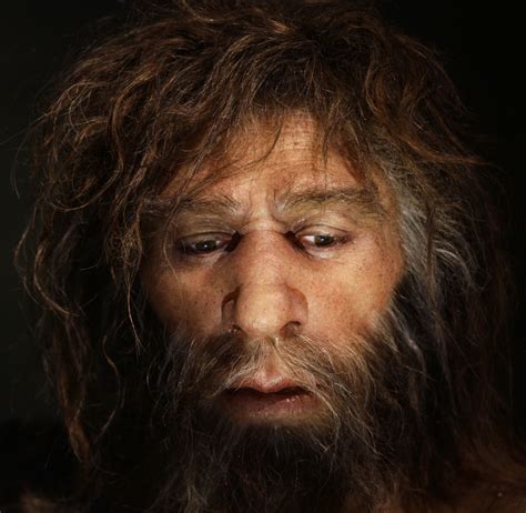 45,000-Year-Old Siberian Man's Genome Pinpoints When Neanderthals and ...