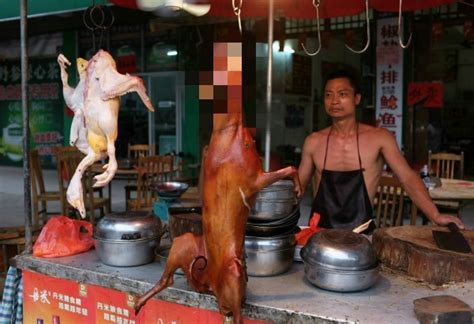 狗肉節在即 中國肉攤大剌剌懸掛毛孩子 - 國際 - 自由時報電子報