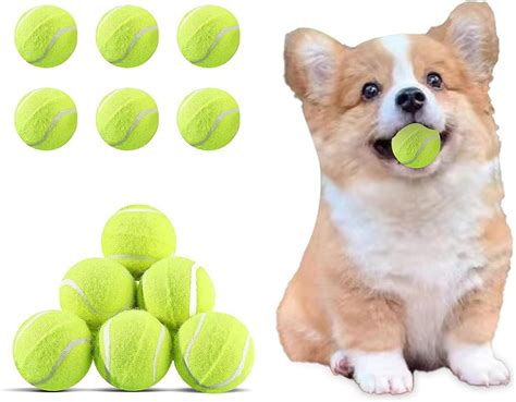 Dog Tennis Ball Launcher: A Step-by-Step Guide to Preventing Injuries in Dogs