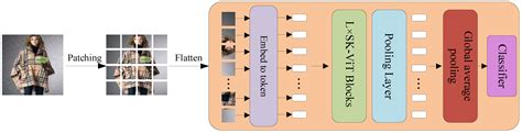 Electronics | Free Full-Text | ASK-ViT: A Model with Improved ViT Robustness through ...