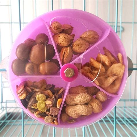 Bird Creative Foraging Toy Seed Food Ball Rotate Wheel For Small And Medium Parrot Parakeet ...