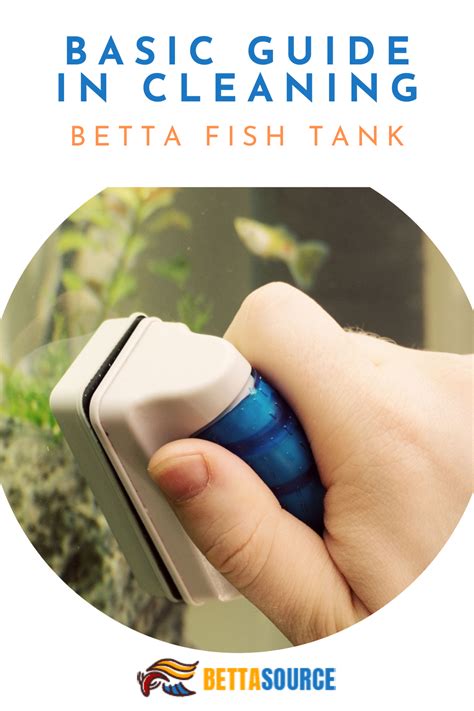 Cleaning Betta Fish Tank: Everything About the Cleaning Process