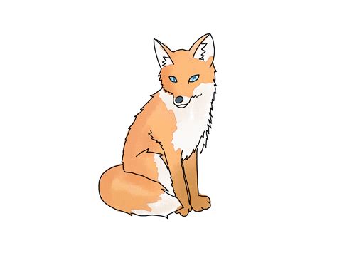 How to Draw a Fox in 2020 | Fuchs skizze, Cartoon-zeichnungen, Tiere malen