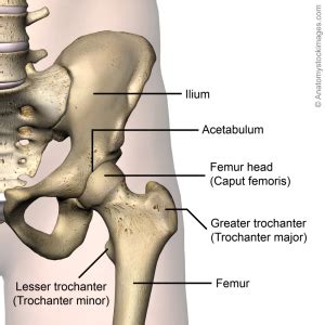 Hip Labral Disorders - Physiopedia