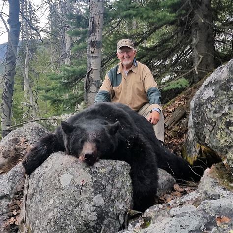 Black Bear Hunting Wyoming | Bighorn Mountains Spring Bear Hunts