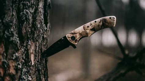 8 Best Hunting Knives 2024 In The World