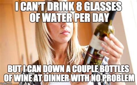 35 Hilarious Wine Memes!