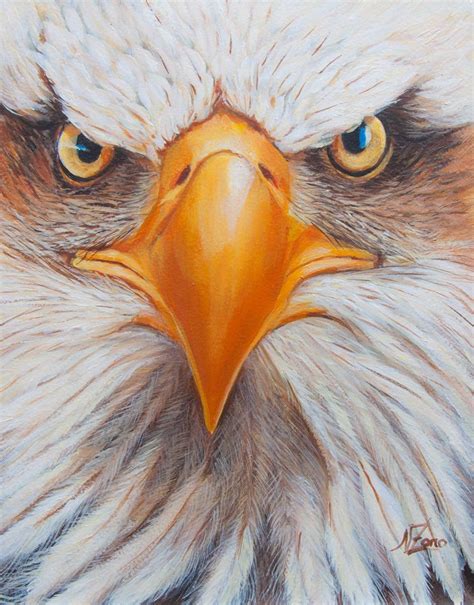 Eagle face Acrylic painting by Norma Beatriz Zaro | Eagle face, Eagle ...