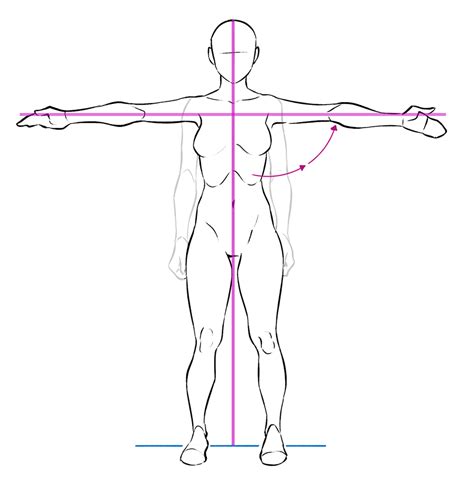 Learn from Anatomy to Improve Your Poses | Art Rocket