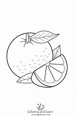 Orange Coloring Pages FREE 2025  And Learn sketch template