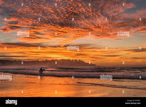 Bondi Beach sunrise with surfer Stock Photo - Alamy