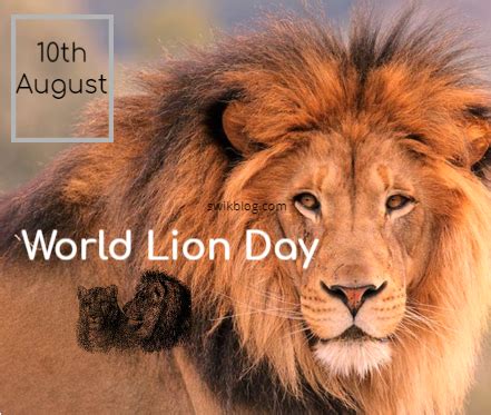 World Lion Day 10th August 2022 - Swikriti's Blog