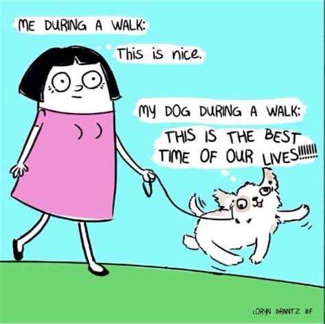 12 Comics That Perfectly Sum Up Dog Ownership