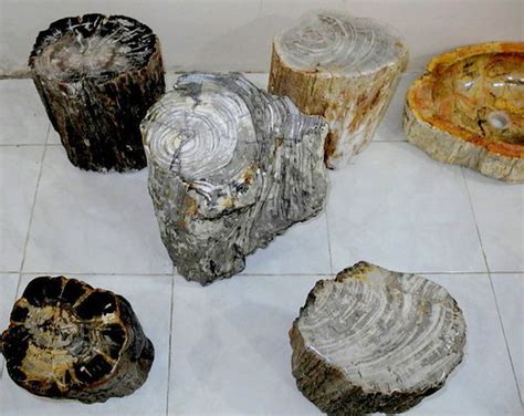 petrified wood table los angeles ca | IndoGemstone Petrified… | Flickr