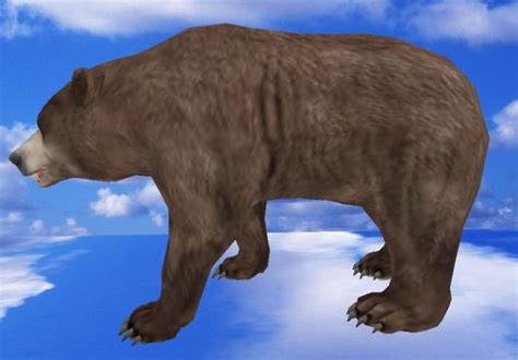 Second Life Marketplace - Brown Bear- Mesh