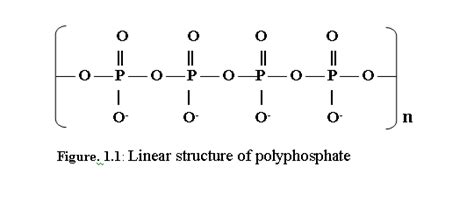 Polyphosphate - Alchetron, The Free Social Encyclopedia