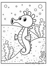Seahorse Coloring Pages Updated 2021 sketch template