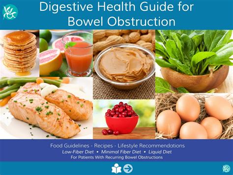 Digestive Health Guide for Bowel Obstruction