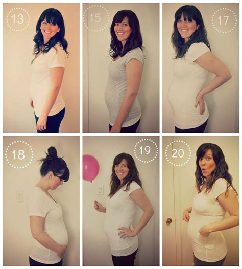 how to make a pregnancy bump week by week collage - THE SWEETEST DIGS