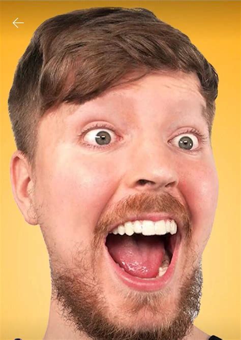 No eyebrows : r/MrBeast