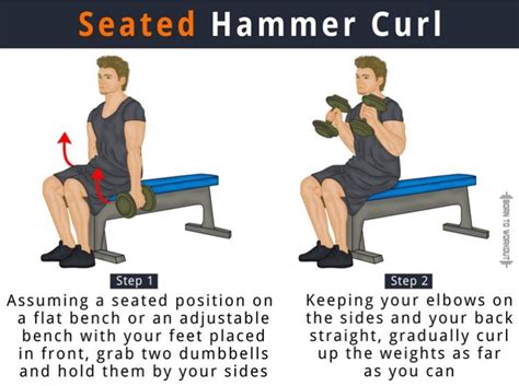 Seated Hammer Curls: What is it, How to do, Benefits