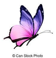 Butterfly Stock Illustrations. 152,353 Butterfly clip art images and ...