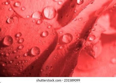 97,838 Water Droplets Red Background Images, Stock Photos & Vectors ...