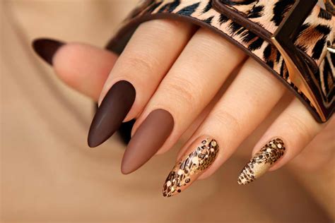 Nail Designs 2023 Brown | Daily Nail Art And Design