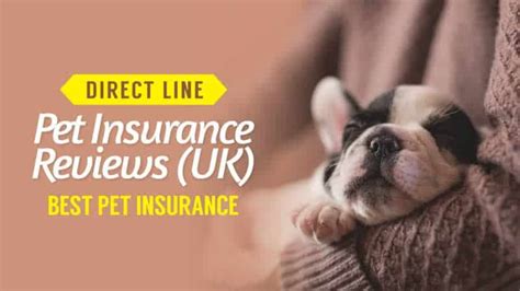 Direct Line Pet Insurance Reviews (UK): Best Pet Insurance