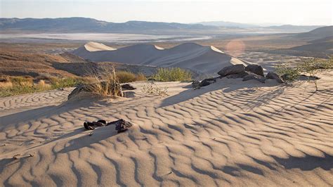 Sand Mountain, Nevada | Discover Sand Mountain Recreation Area