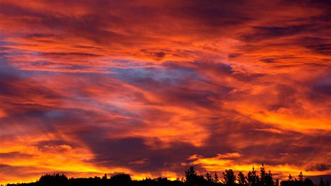 Sunset Sky Trees Bushes Clouds 4K HD Wallpapers | HD Wallpapers | ID #32393