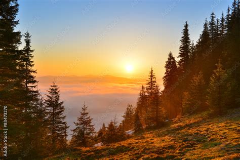 Sunrise forest in spring mountains foto de Stock | Adobe Stock