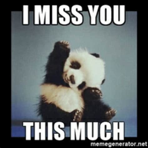 60 Cutest I Miss You Memes Of All Time | Quoteswithpicture.com