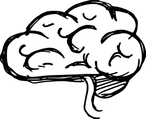 Line art Drawing Brain Clip art - Brain png download - 1833*1500 - Free ...