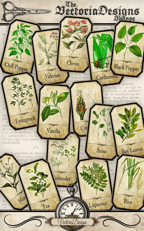 Herbs Apothecary Labels, Printable Labels, Spice Jar Labels, Herb Labels, Printable Images ...