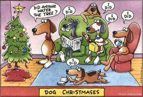 My dog is PEEING on the Christmas tree! | Funny christmas cartoons, Funny christmas pictures ...