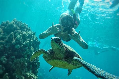 West Maui Half Day Snorkel from Ka’anapali Beach 2021