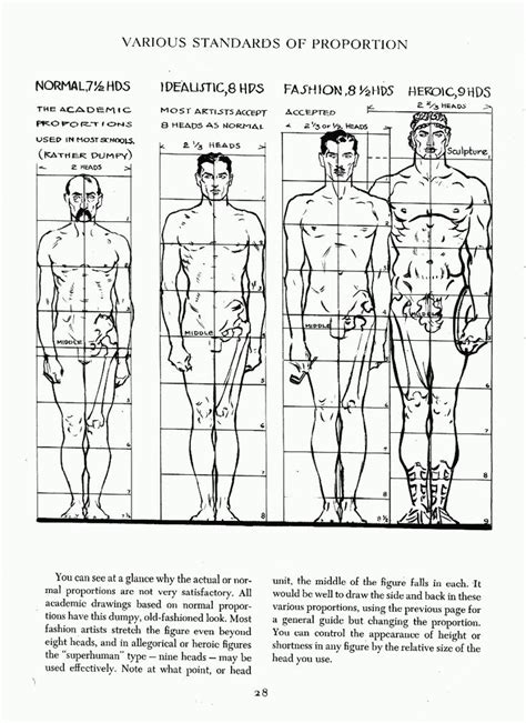 Proportions of the Human body from Figure Drawing For All It's Worth by Andrew Loomis | 人物デッサン ...