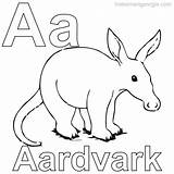 Aardvark Coloring Pages At GetColoringscom  Free Printable Colorings sketch template