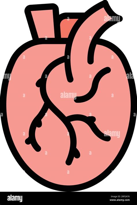 Human heart icon outline vector. Medical organ. Anatomy body color flat Stock Vector Image & Art ...