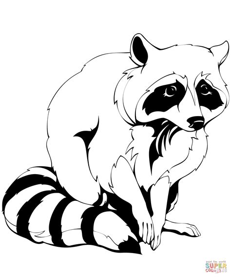 Raccoon coloring page | Free Printable Coloring Pages